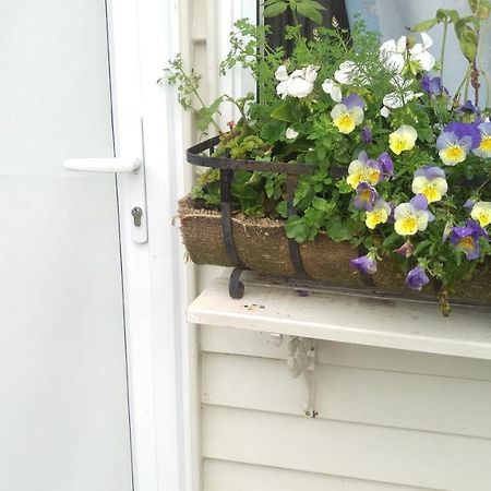 Geranium Cottage-Mt Taranaki Stratford Exterior photo