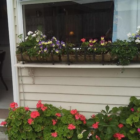 Geranium Cottage-Mt Taranaki Stratford Exterior photo